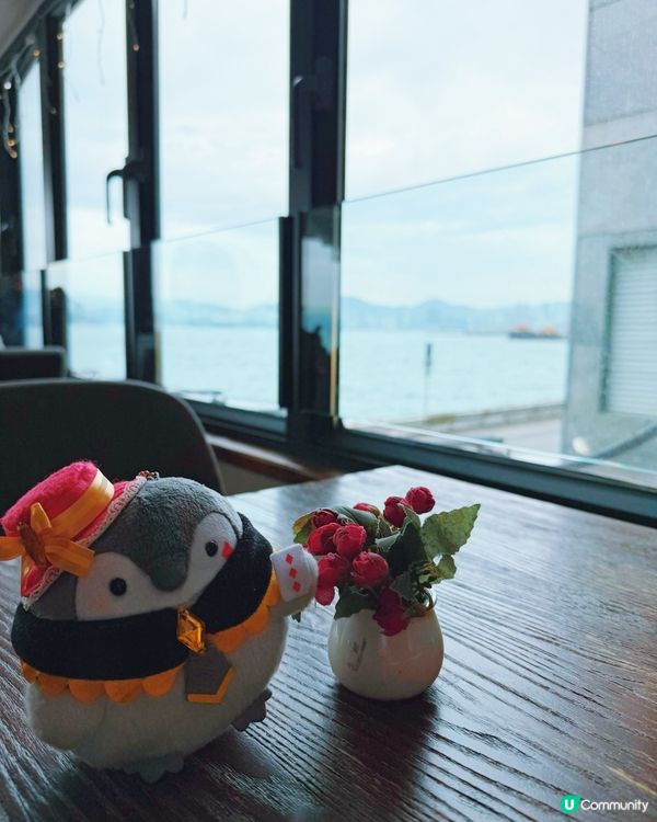 堅尼地城海景法餐，慢活享受！🌊☀️ 悠閒午餐推介！😋