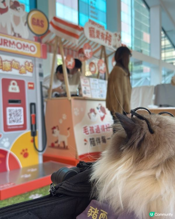 沙田HomeSquare［寵愛有秤］💕