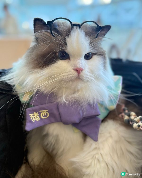 沙田HomeSquare［寵愛有秤］💕