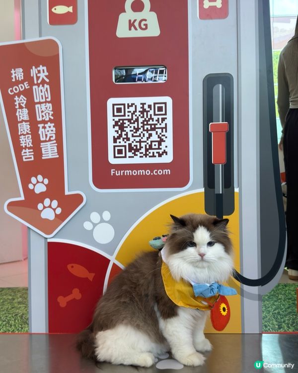 沙田HomeSquare［寵愛有秤］💕