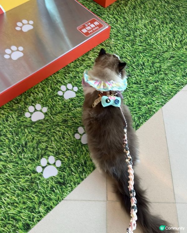 沙田HomeSquare［寵愛有秤］💕