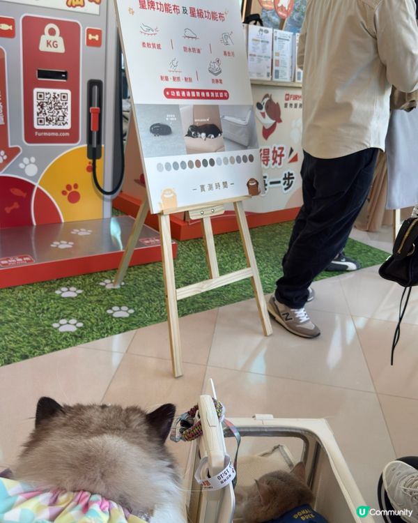 沙田HomeSquare［寵愛有秤］💕