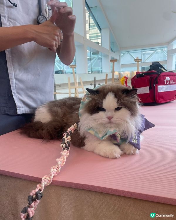 沙田HomeSquare［寵愛有秤］💕