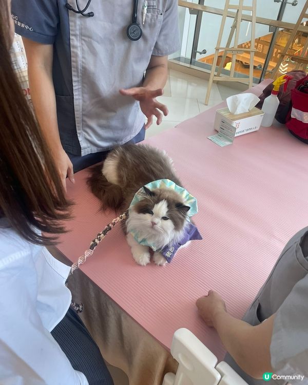 沙田HomeSquare［寵愛有秤］💕