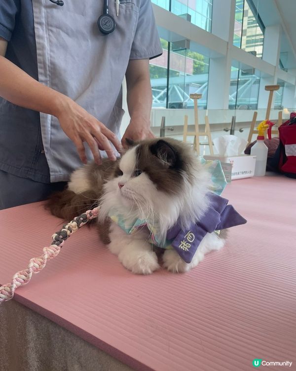 沙田HomeSquare［寵愛有秤］💕