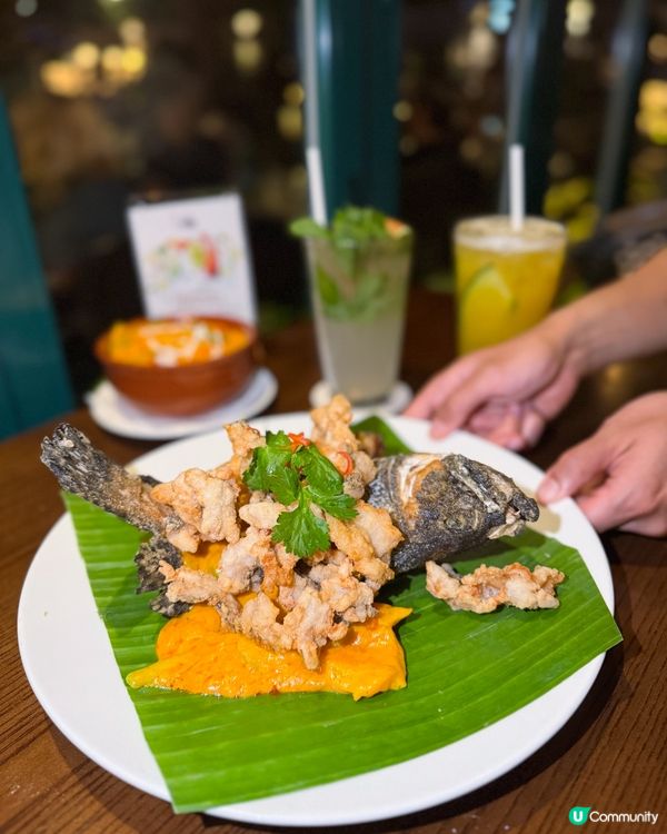 太平山餐廳美食之旅！😋🌲