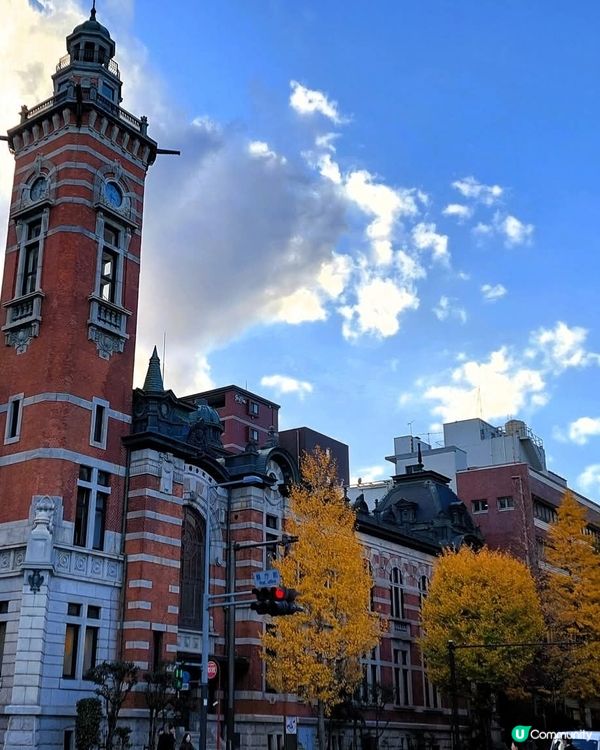 横浜山下公園　　銀杏大道