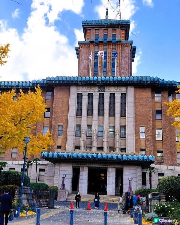 横浜山下公園　　銀杏大道