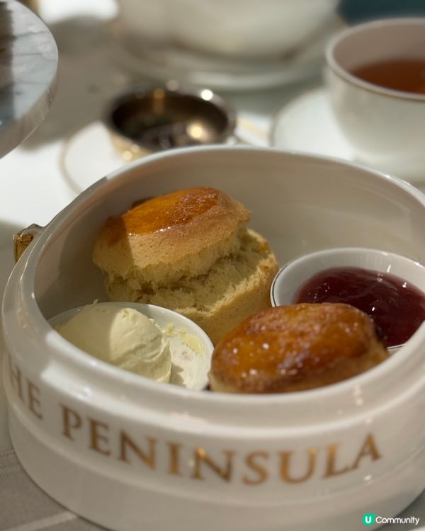 半島精品店打卡📸！冬日限定黑森林巴菲超夢幻！😋