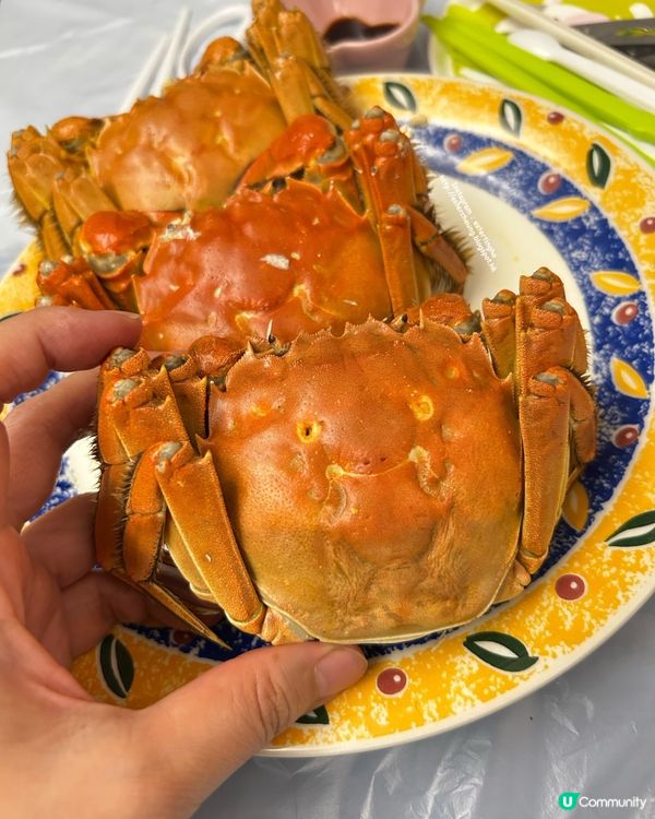 🦀 大閘蟹 ➕ 蝦乾叉燒飯