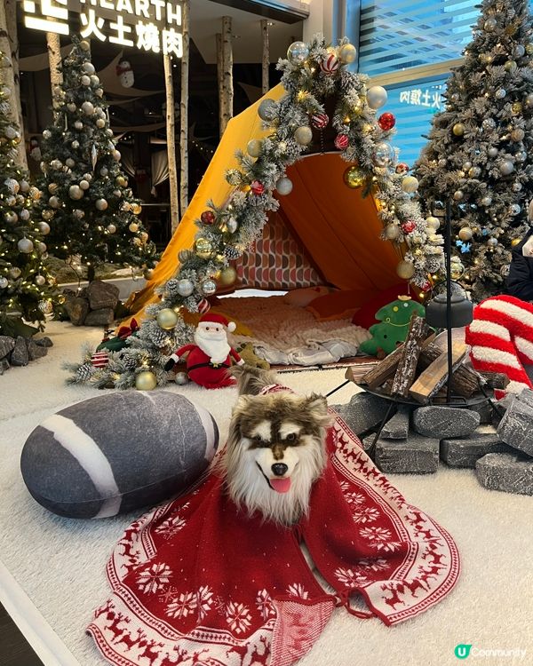 1. 尖咀露營風燒肉！🥩🏕️ 超正！😋 今日食咗咩？🤤