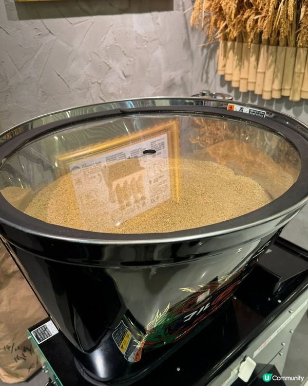 肉肉大米🤤！原味芝士漢堡扒大比拼！🍔