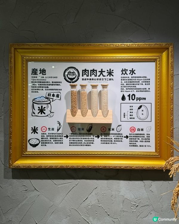 肉肉大米🤤！原味芝士漢堡扒大比拼！🍔