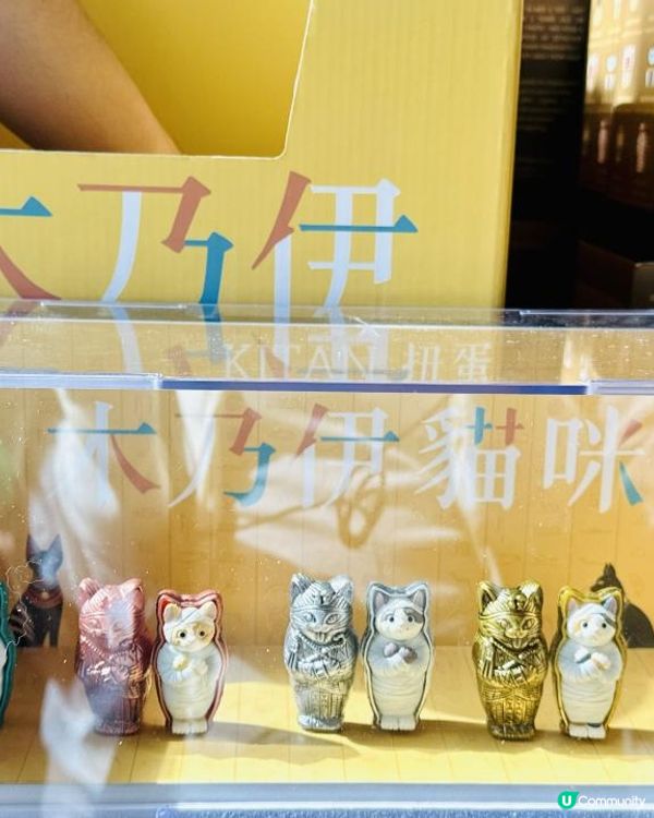 木乃伊貓貓好盞鬼！貓奴必買！故宮埃及精品