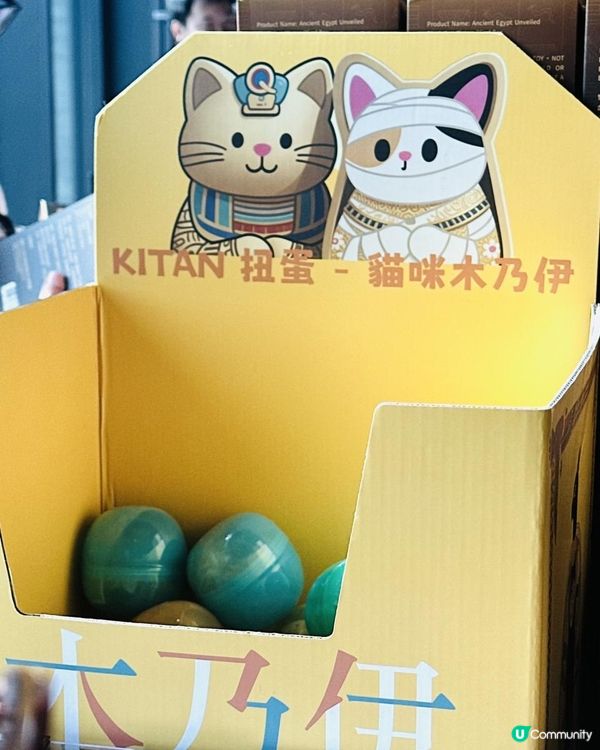 木乃伊貓貓好盞鬼！貓奴必買！故宮埃及精品