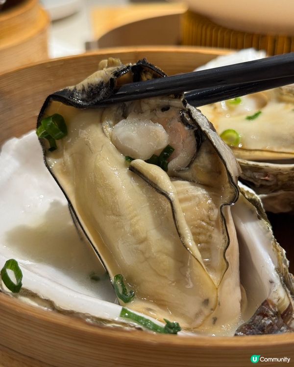 廣深粵菜熱店試食🤤！利苑平替！