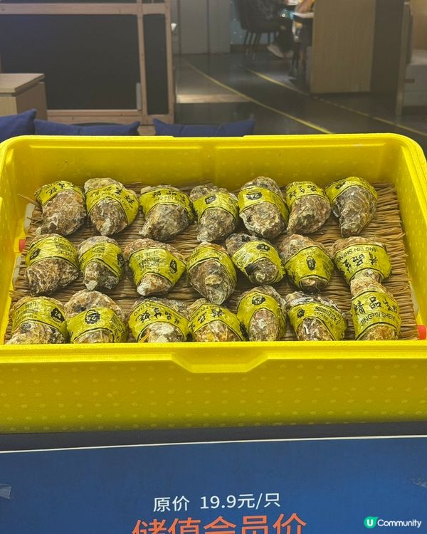 廣深粵菜熱店試食🤤！利苑平替！