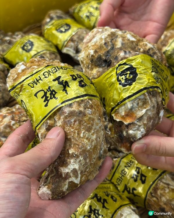 廣深粵菜熱店試食🤤！利苑平替！