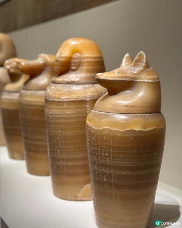 大熱展覽🔥 古埃及展開幕啦！／／送上展覽精品推介！！