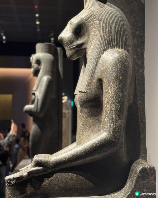 大熱展覽🔥 古埃及展開幕啦！／／送上展覽精品推介！！