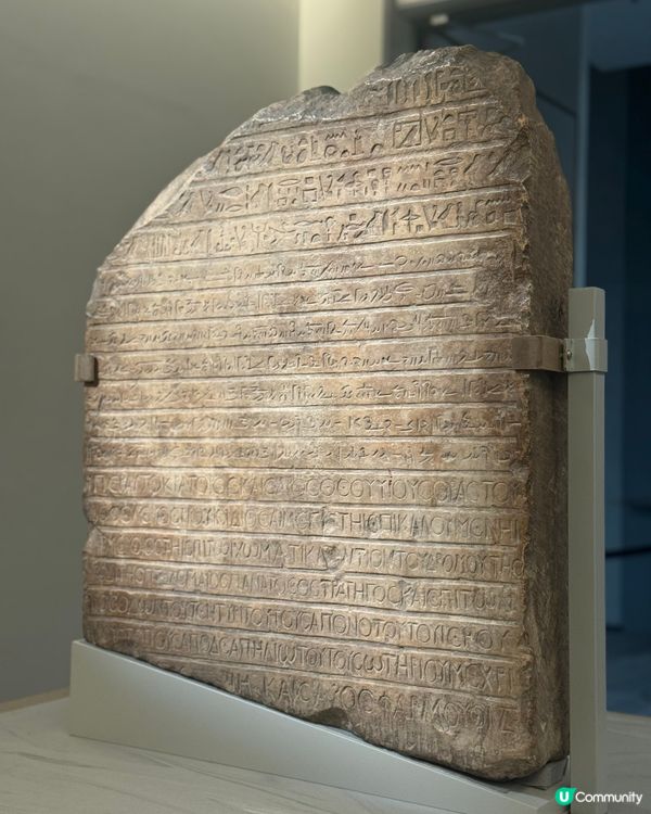 大熱展覽🔥 古埃及展開幕啦！／／送上展覽精品推介！！