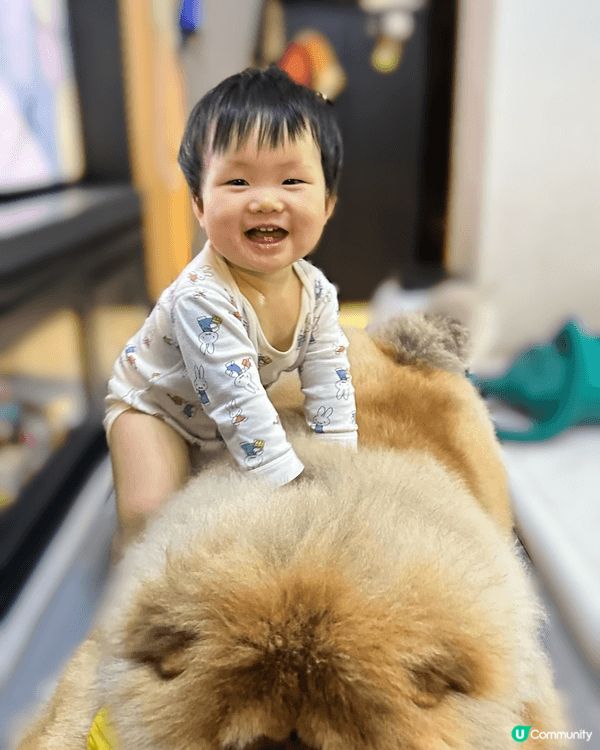 平時日常都會帶bb 去playhouse 玩～ 放下電。