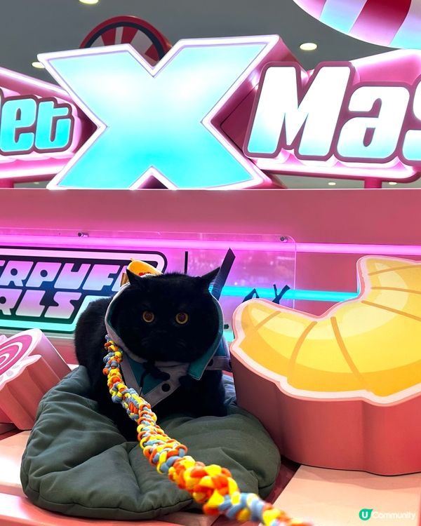 今日我去海港城打卡卡🐈‍⬛