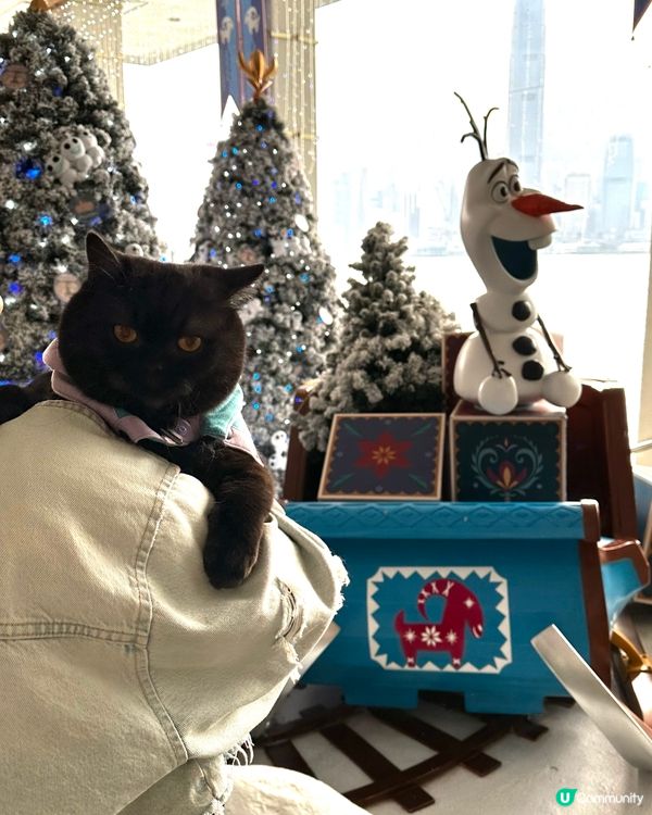 今日我去海港城打卡卡🐈‍⬛