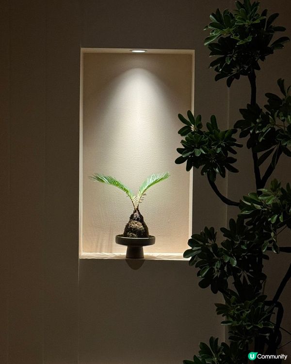 以前攰了偷偷流淚 