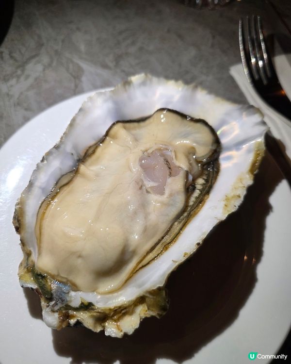 必食大大粒巨型生蠔