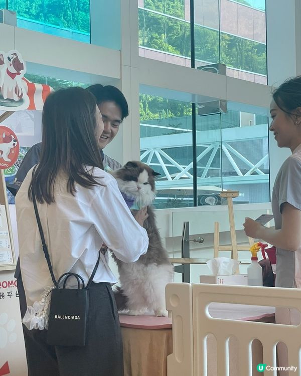 沙田HomeSquare［寵愛有秤］💕