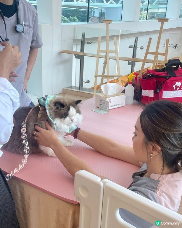 沙田HomeSquare［寵愛有秤］💕