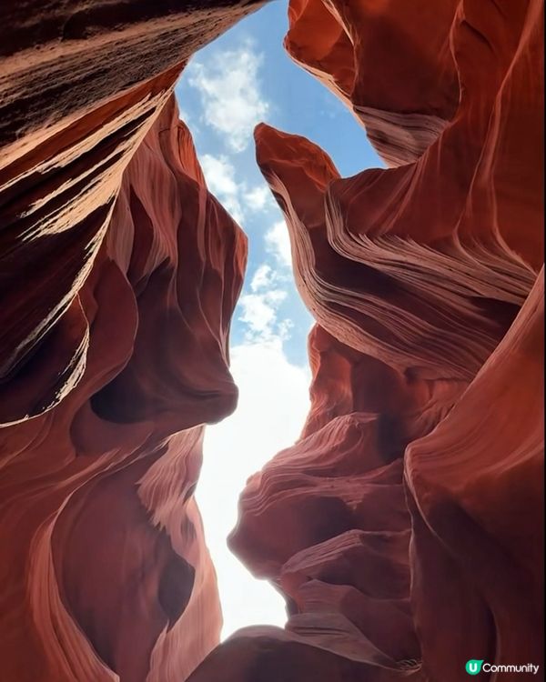 被大自然鬼斧神工驚艷了‼️