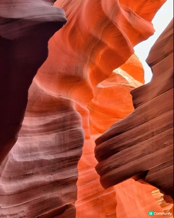 被大自然鬼斧神工驚艷了‼️