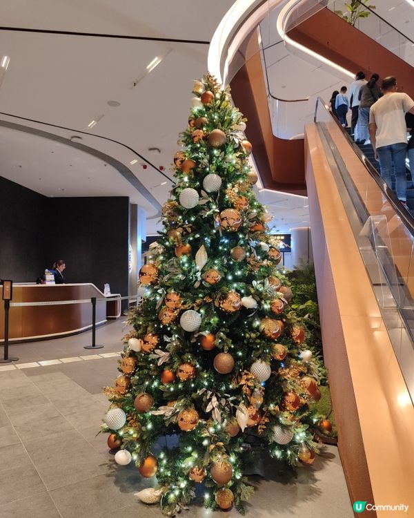 🧑‍🎄🌲迪士尼快閃店嚟啦！🎉 聖誕必去！🧑‍🎄