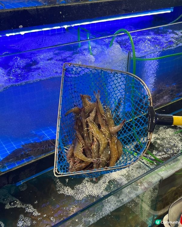 深圳壹號粥火鍋新店開張！🥳 粥底火鍋控衝呀！