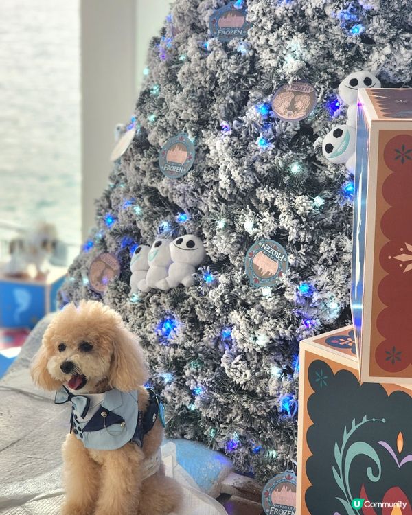 海港城聖誕打卡