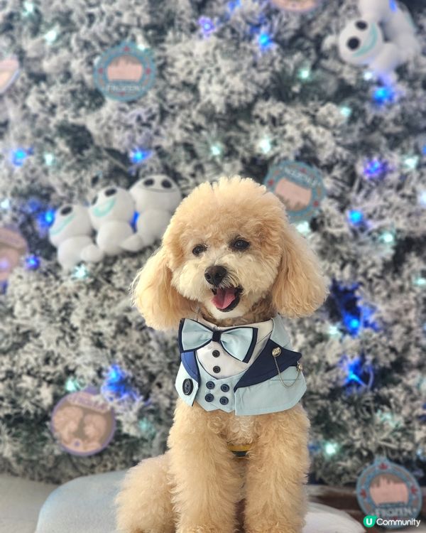 海港城聖誕打卡