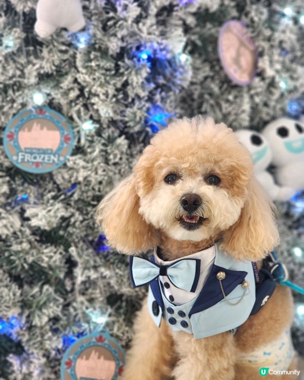 海港城聖誕打卡