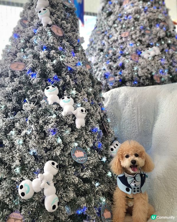 海港城聖誕打卡