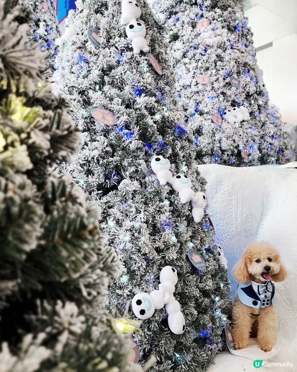 海港城聖誕打卡