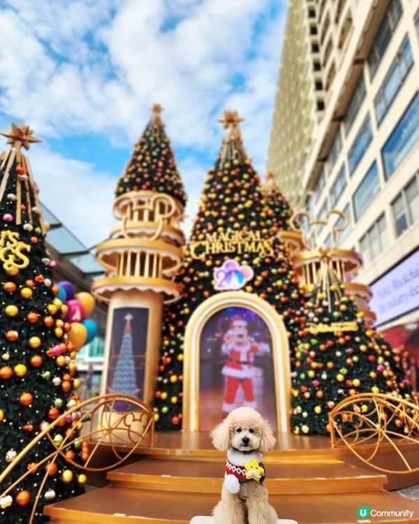 海港城聖誕打卡