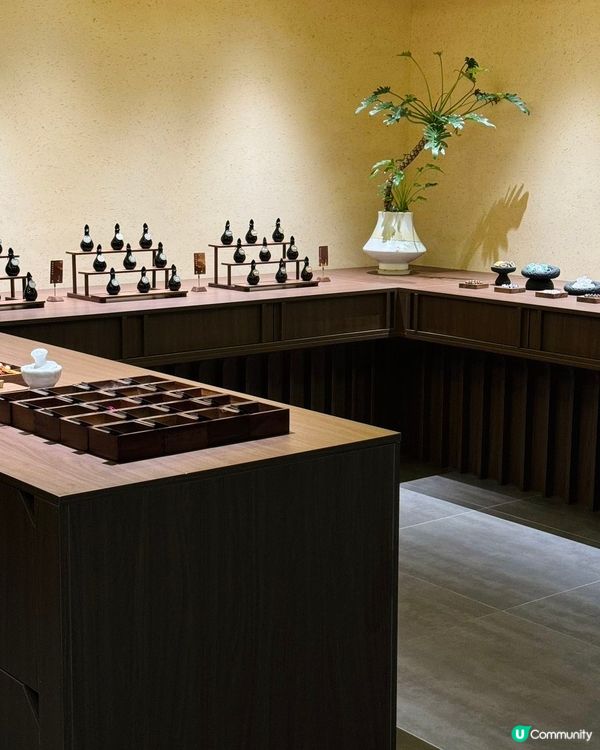 深圳養生之旅🌿！沉浸式草本體驗！💆‍♀️