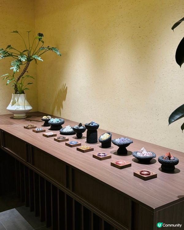 深圳養生之旅🌿！沉浸式草本體驗！💆‍♀️