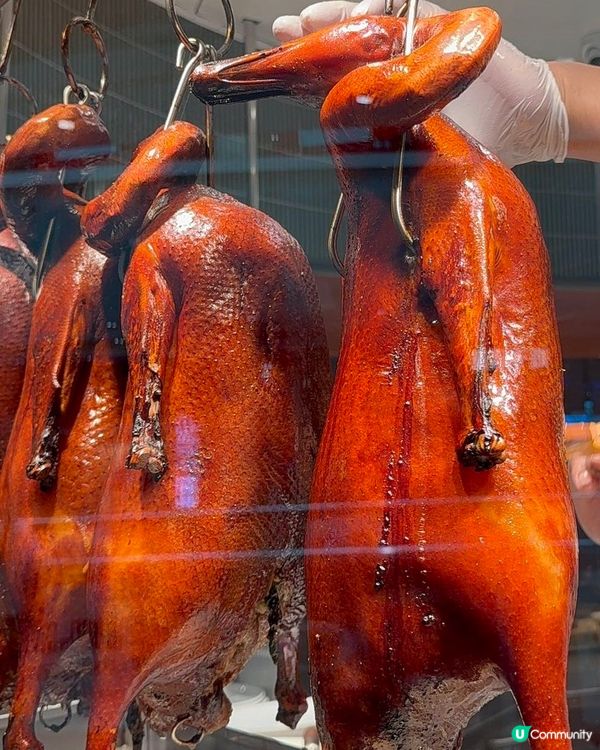 深圳燒鵝佬！脆皮燒鵝🤤皮脆肉嫩！😋