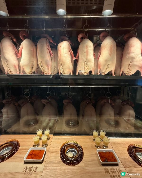 深圳燒鵝佬！脆皮燒鵝🤤皮脆肉嫩！😋