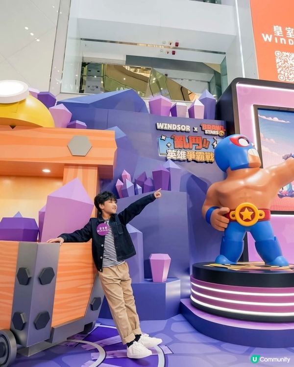 WINDSOR X BRAWL STARS 亂鬥英雄爭霸戰