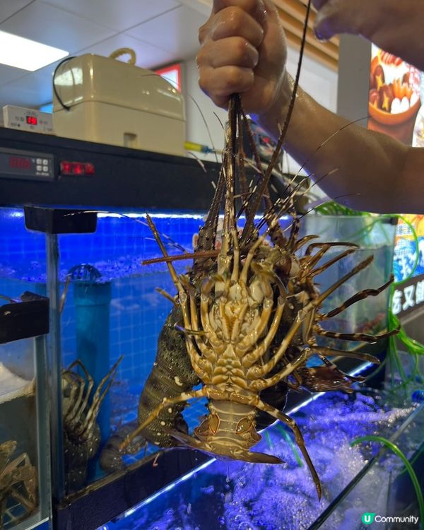 深圳海鮮煲仔粥🤤！百款食材任你揀！😋