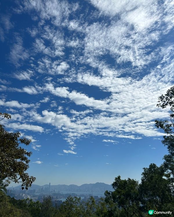 👣四小時行山樂 - 元荃古道👣