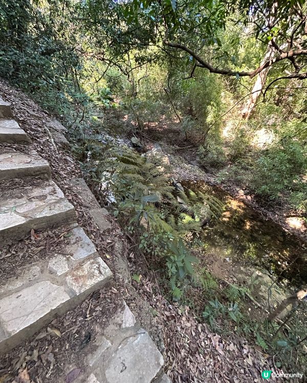 👣四小時行山樂 - 元荃古道👣